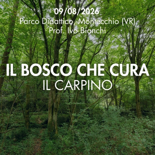 evento-bosco-carpino.jpg
