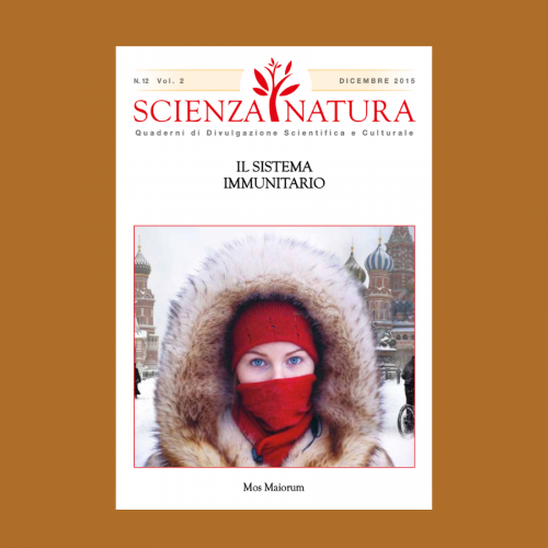 Dicembre 2015.png