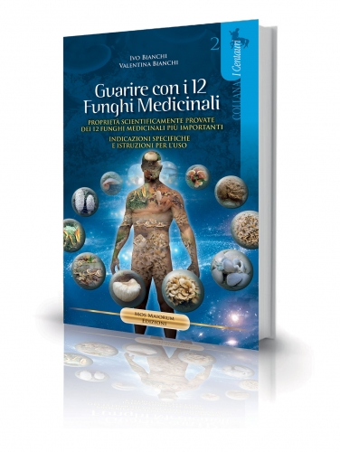 COP-12-FUNGHI.jpg