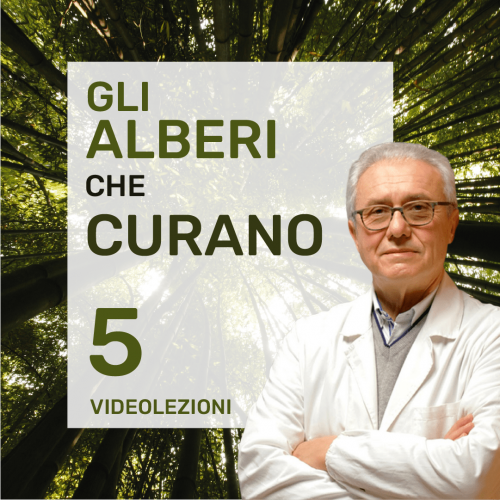 copertine corsi-08-min.png