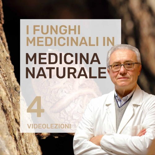 funghi med in med nat.jpg